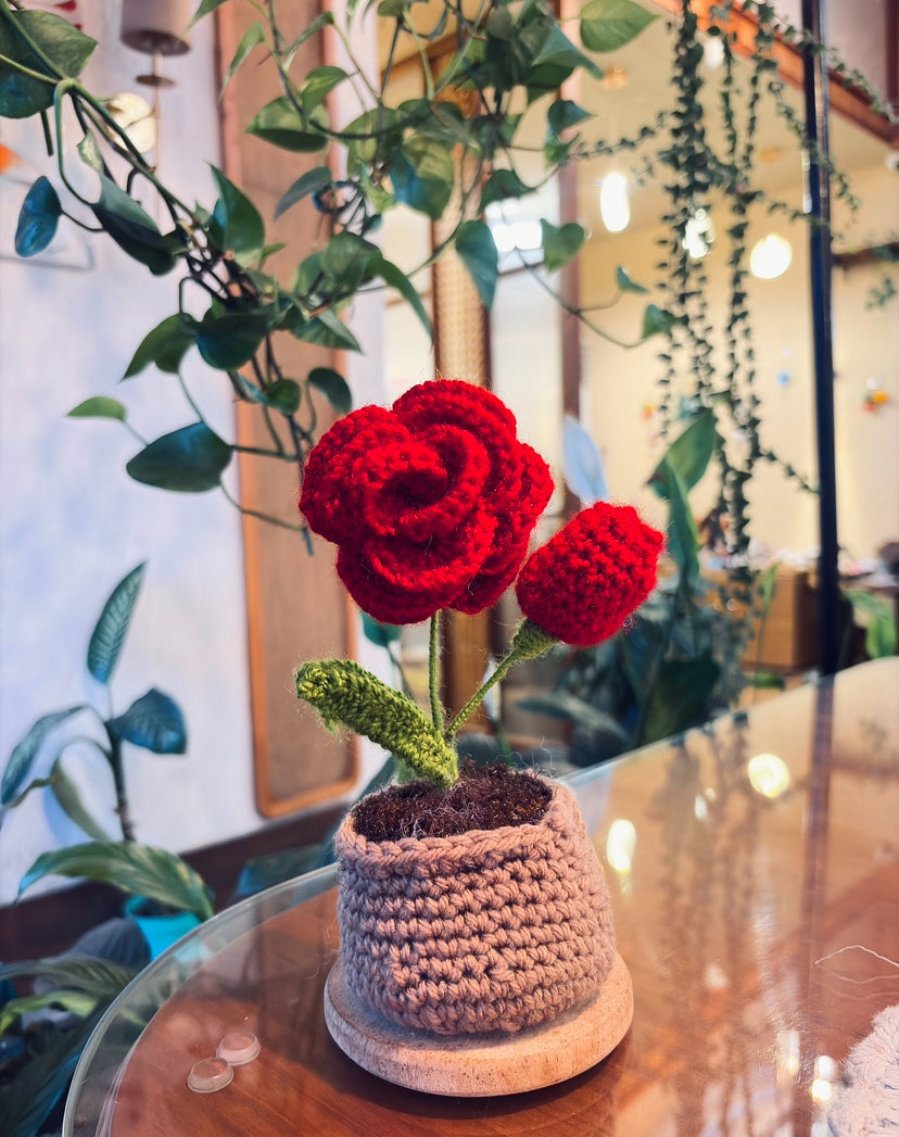 Handmade Crochet Rose Flower Pot ( Red)