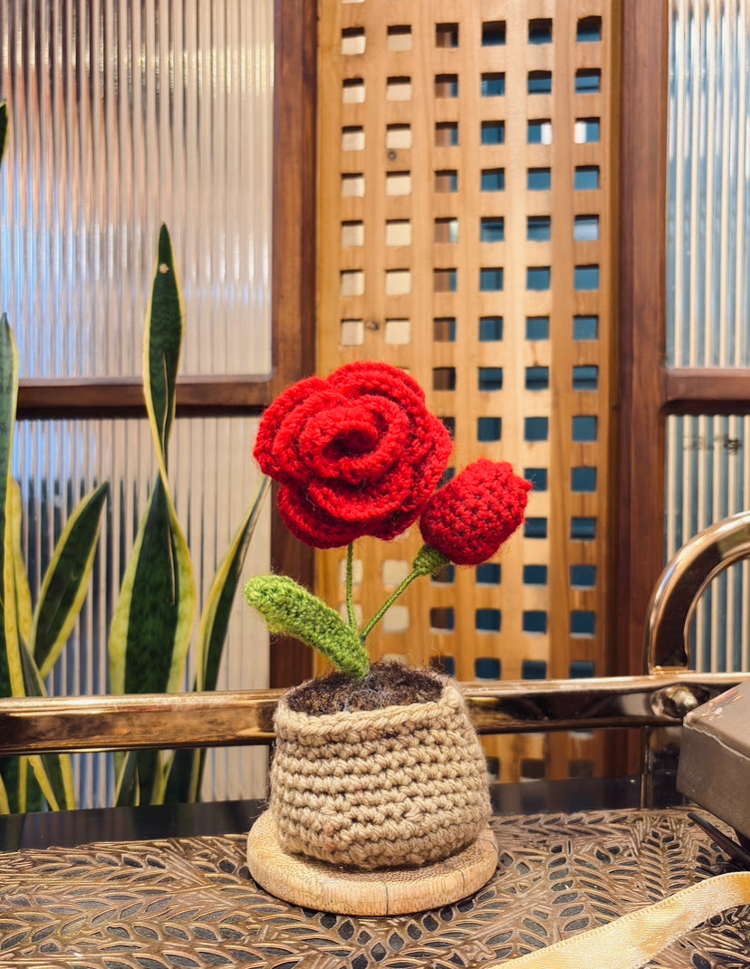 Handmade Crochet Rose Flower Pot ( Red)