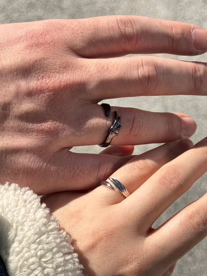 Night Fury & Light Fury Rings