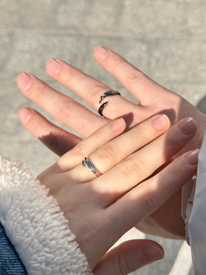 Night Fury & Light Fury Rings