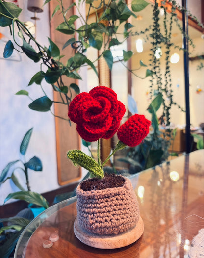 Handmade Crochet Rose Flower Pot ( Red)